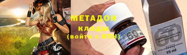PSILOCYBIN Бородино
