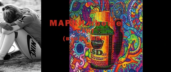 PSILOCYBIN Бородино