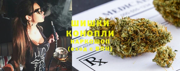 PSILOCYBIN Бородино
