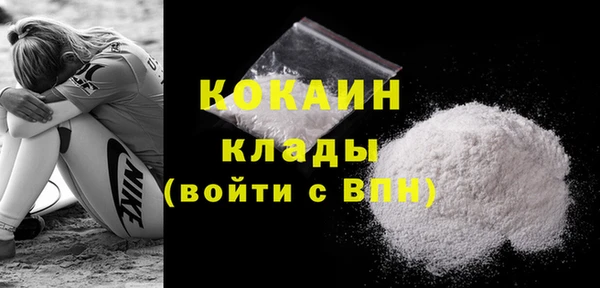PSILOCYBIN Бородино