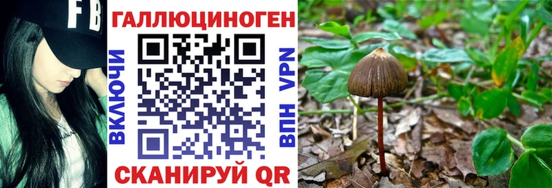 Купить  Далматово  Галлюциногенные грибы Cubensis 